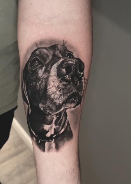 Rob Jeff - Dog portrait